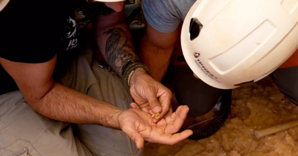 Scientist just learned our ancestors ate toddlers