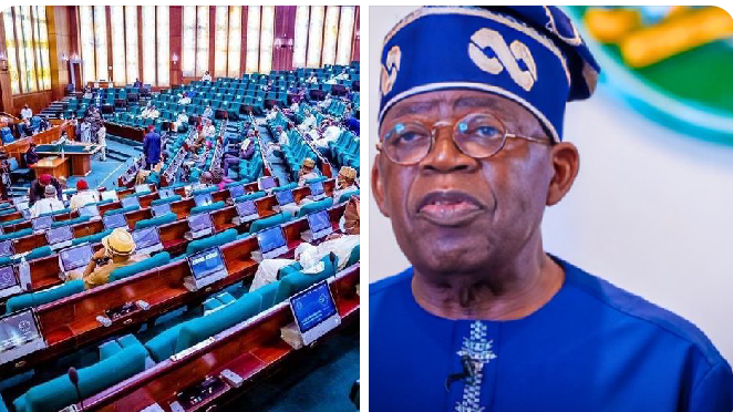 Reps propose bill to remove Tinubu’s power to appoint INEC chairman