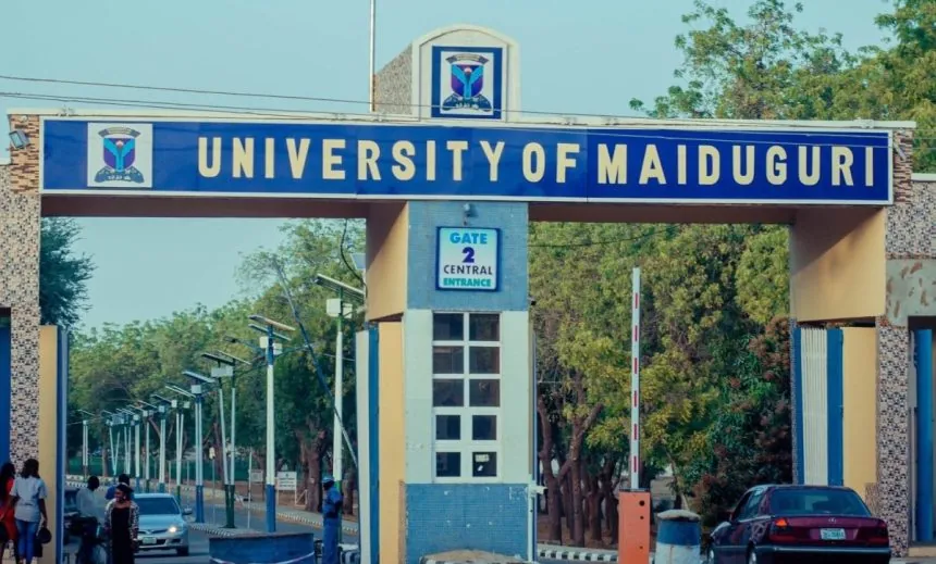 Asuu vows legal action against FG for renaming UNIMAID after Buhari