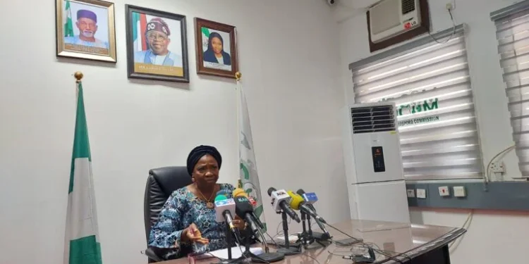 FG says diaspora remains underutilised despite bn remittance in 2024