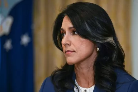 Tulsi Gabbard unveils 230,000 MLK documents under Trump executive order