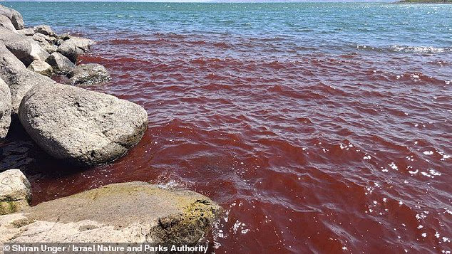 Blood-red sea sparks fears of biblical plague’s return