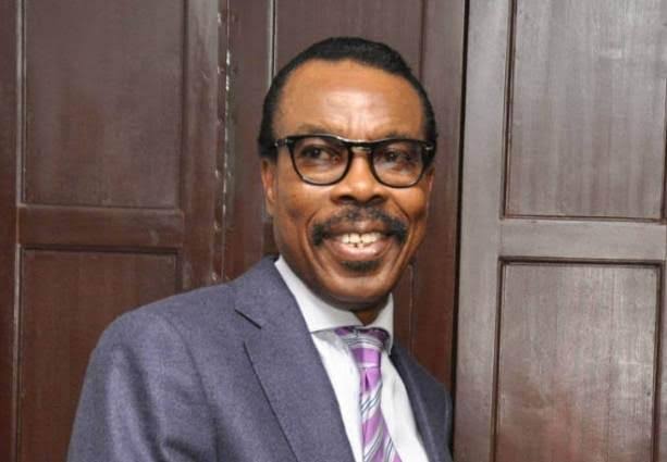 Rewane: Only 5 out of 23 airlines dominate 75% of Nigeria’s domestic air market