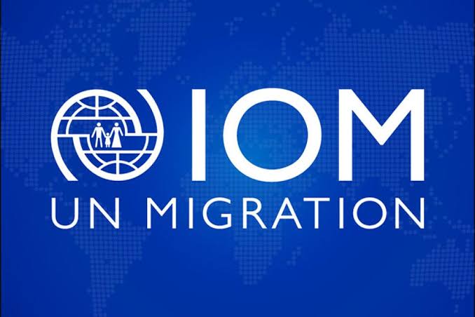 IOM reports 2.1m Nigerians overseas remitted bn