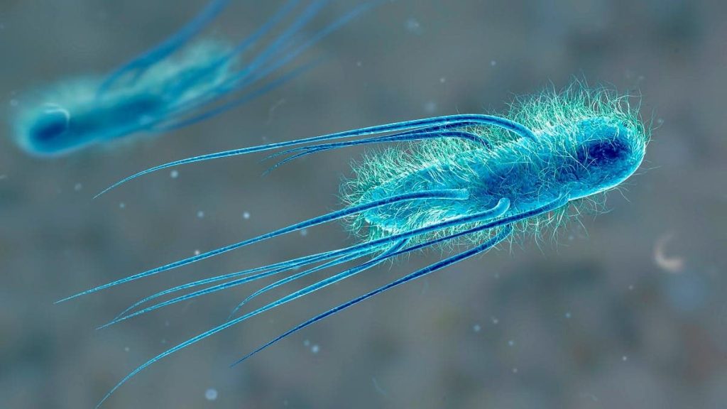 Cambridge researchers engineer bacteria with slimmed-down DNA