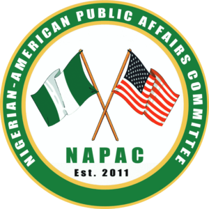 Diaspora voting gets loudest cheers at Nigerian virtual townhall in U.S.