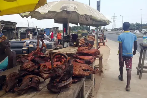 Nigerian doctors warn of disease outbreak as bushmeat consumption rises