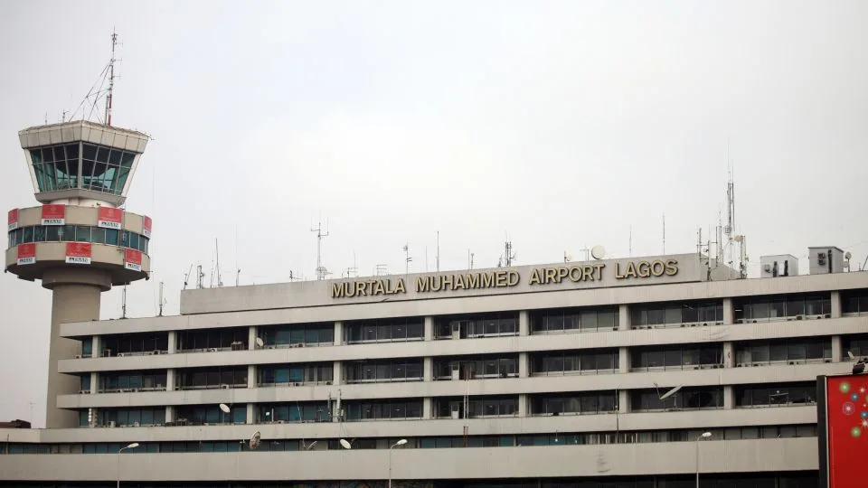 Authorities seize exotic birds in one of Nigeria’s biggest wildlife busts