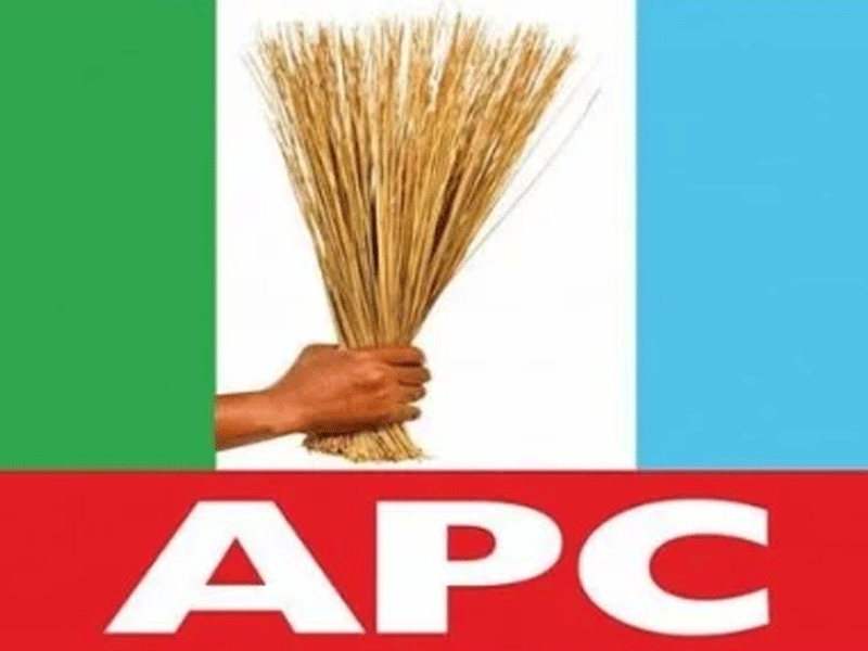 APC secures victory in Kaduna by-elections