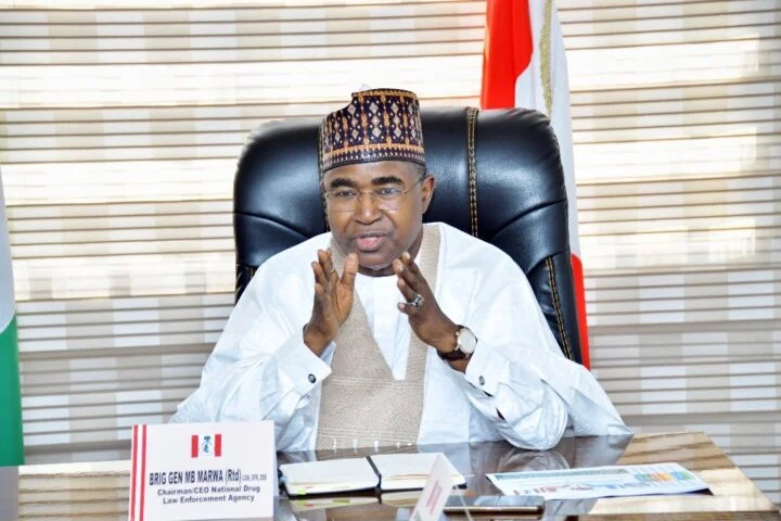 Marwa vows tough crackdown in second NDLEA tenure