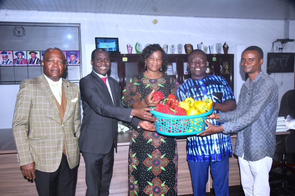 FUTA boosts bell pepper farming, eyes international export opportunities