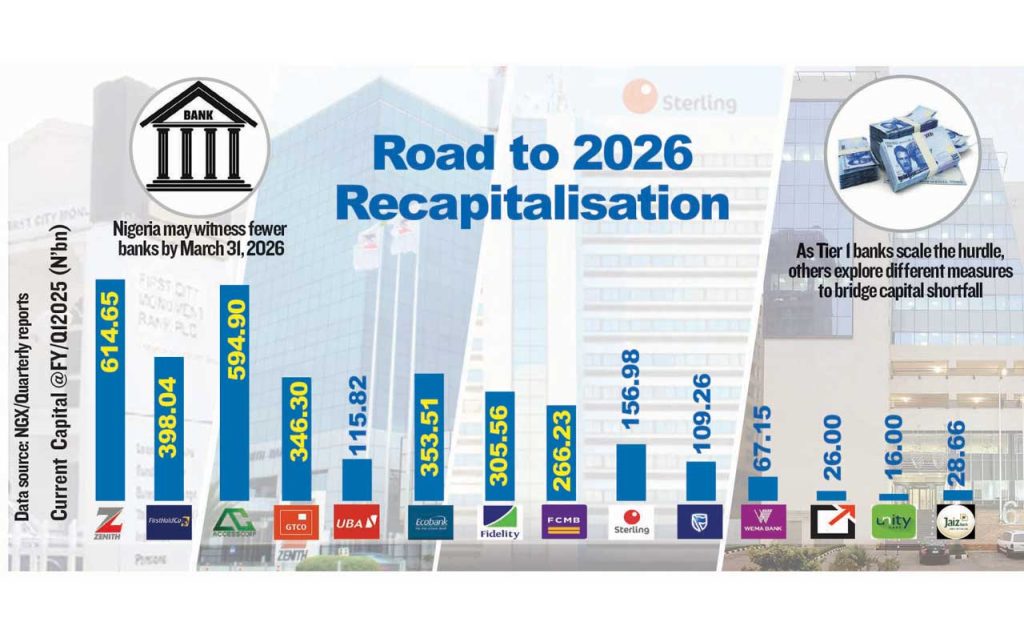 More than 10 lenders, insurers face possible forced mergers under recapitalisation drive