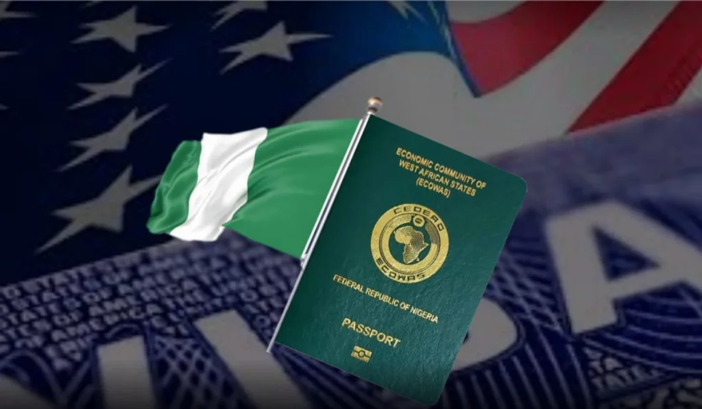FG to match U.S. social media visa rule with reciprocal action