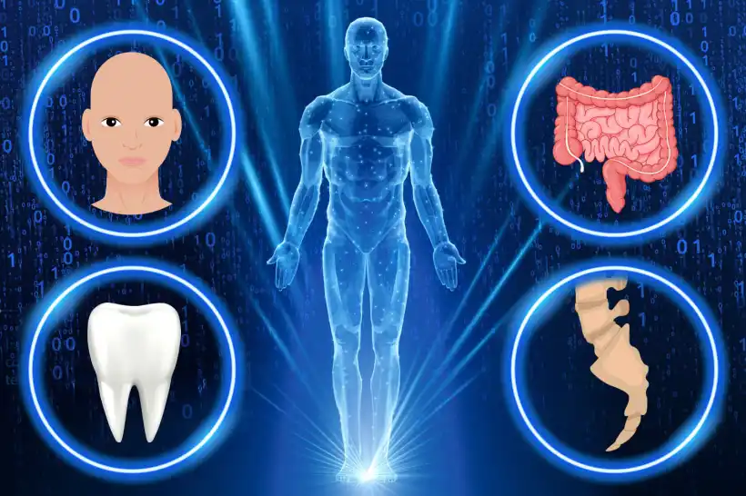 Humans in future may be hairless and lose four body parts due to modern lifestyles