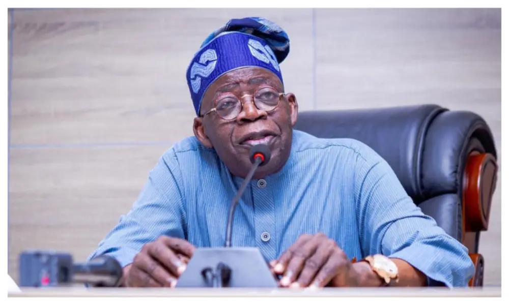Gazetted tax law: Oyedele says Tinubu lacks power to halt implementation