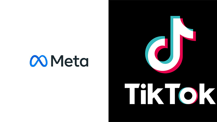 Meta, TikTok clamp down on 13 million Nigerian accounts — NITDA