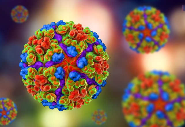 Over 7,700 infected as China fights mosquito-borne Chikungunya virus