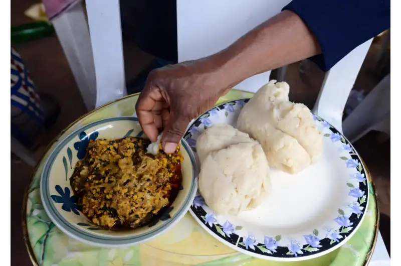 Nigerian scientists await return of egusi seeds from space