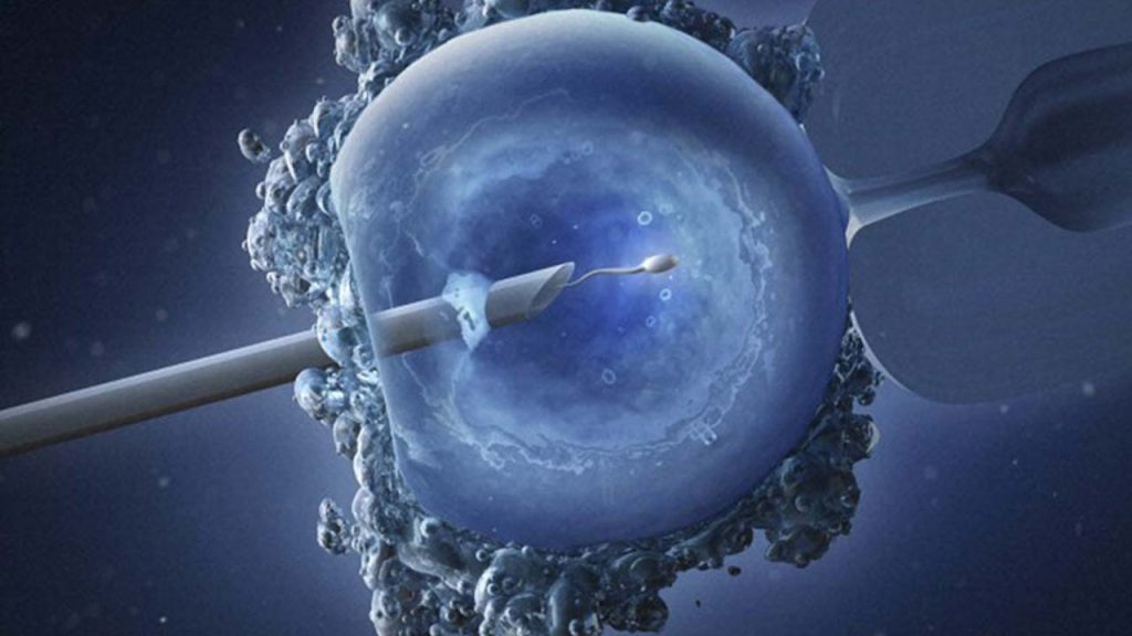 Kwara tertiary institution students selling sperm, eggs amid economic hardship