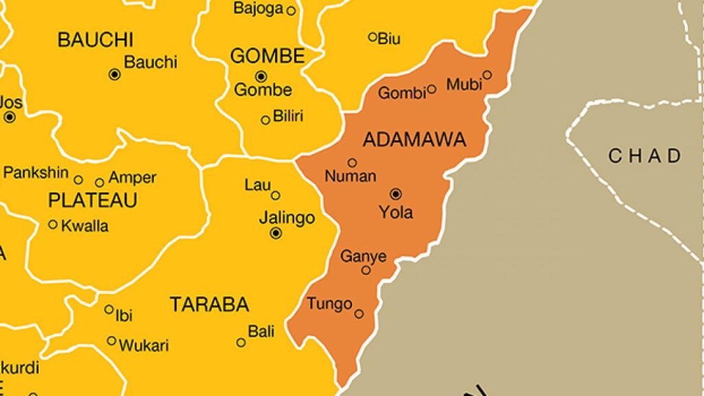 FG launches probe into flesh-eating disease killing Adamawa residents