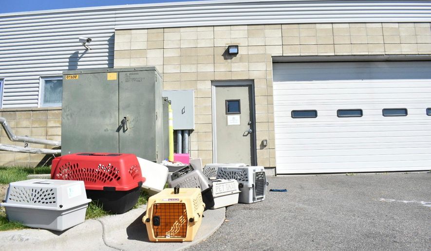 Animal shelter evacuated after narcotics smoke leak