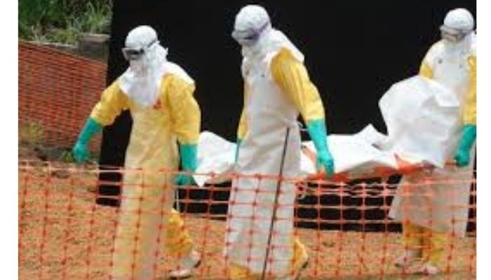 Nigeria tightens border surveillance over Ebola outbreak in DR Congo
