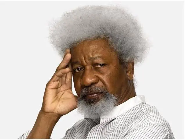 Wole Soyinka recounts ordeal of how he was robbed and abducted abroad