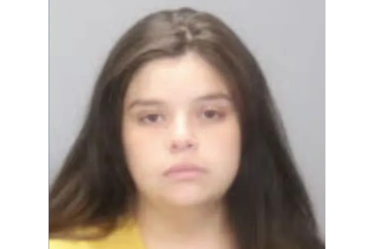 Mother admits leaving newborn in dumpster, police say