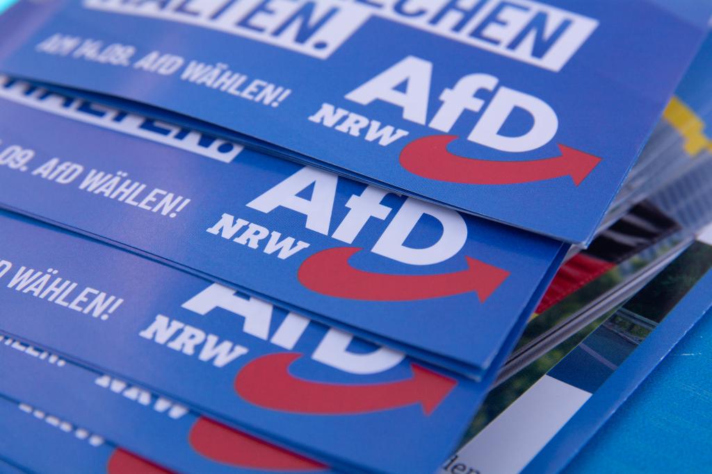 Six AfD candidates die within 13 days ahead of German local elections