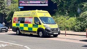 Teen dies from allergic reaction, ambulance service ordered to pay 0K