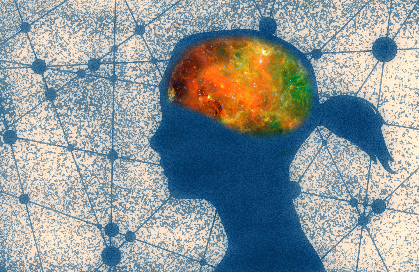 Why the brain remembers some memories and forgets others…