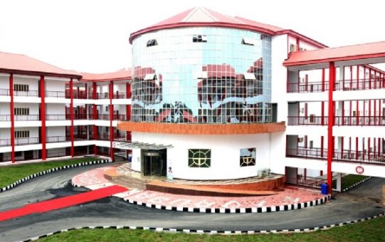 ABUAD fertility centre achieves landmark birth for 60-year-old woman