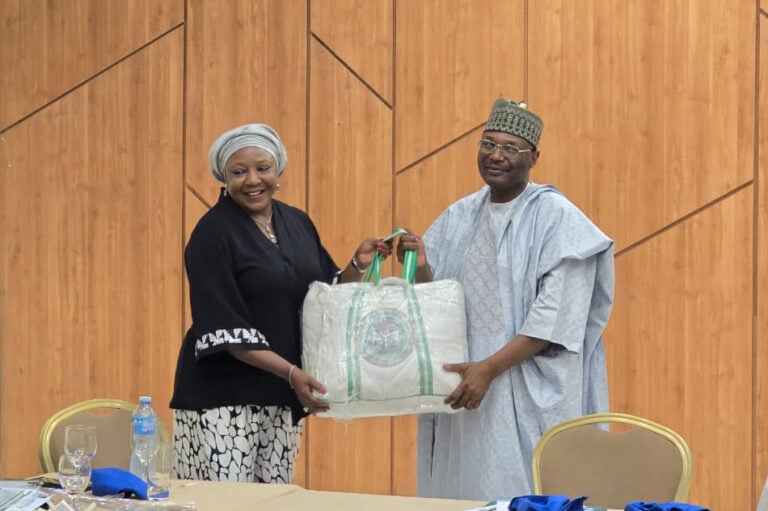 INEC chair Yakubu packed up, but Tinubu sought more time for successor