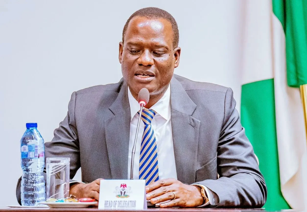 Oyedele: Nigerians abroad won’t pay tax on pensions, stipends, or remote earnings