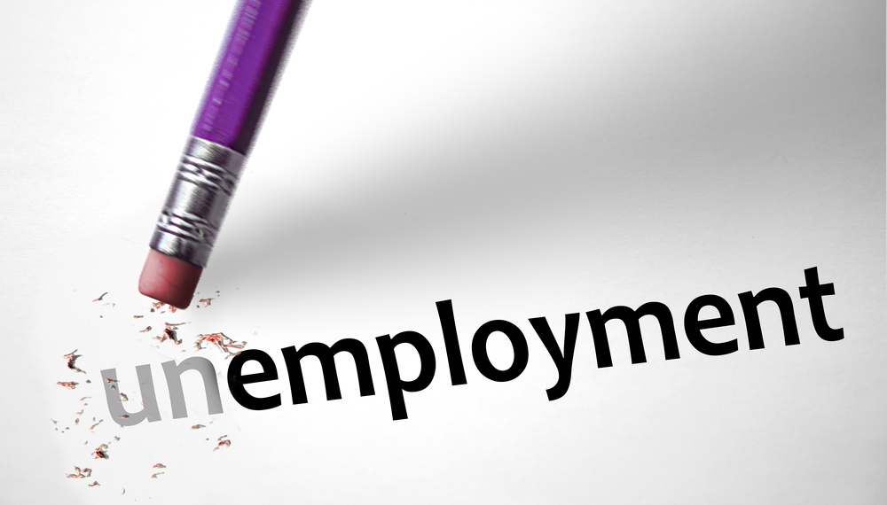 FG launches National Job Centre project to tackle unemployment