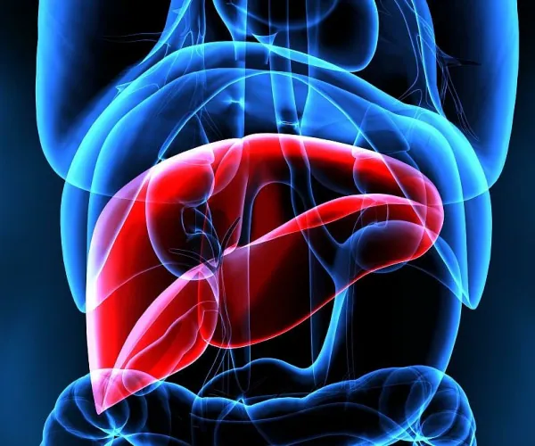 AI outperforms doctors in predicting liver donors
