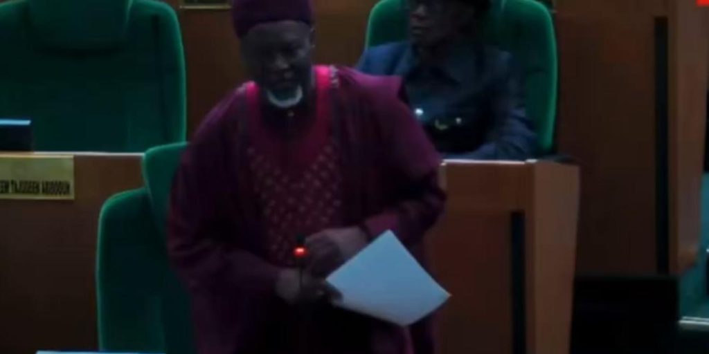 ‘Bandits are targeting us’: Lawmaker urges Tinubu to review VIP police withdrawal