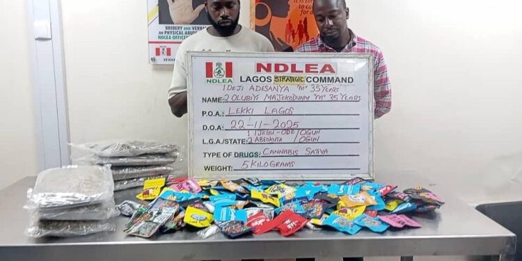 NDLEA busts WhatsApp drug ring disguising Loud as Christmas cookies