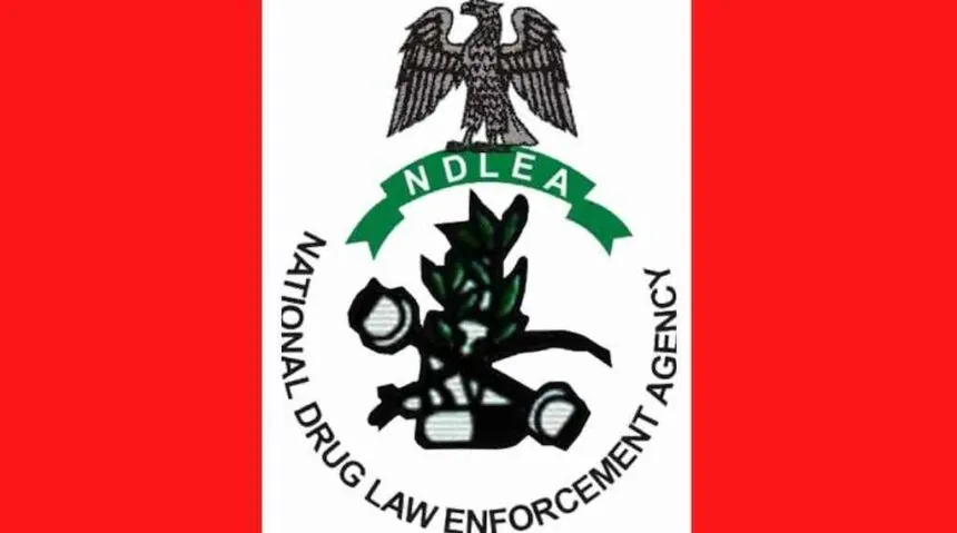 NDLEA busts six drug syndicates nationwide