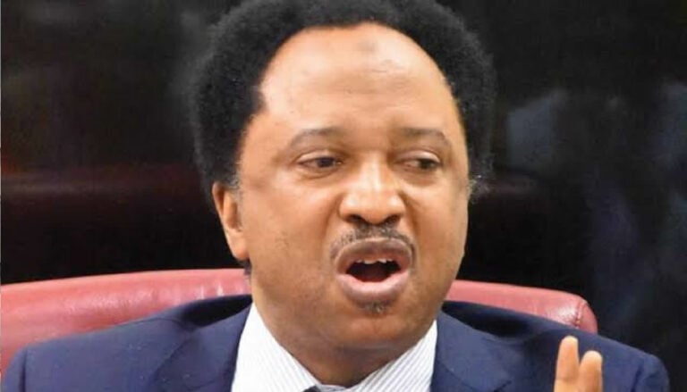 Kanu’s life sentence ‘not the end’ – Shehu Sani