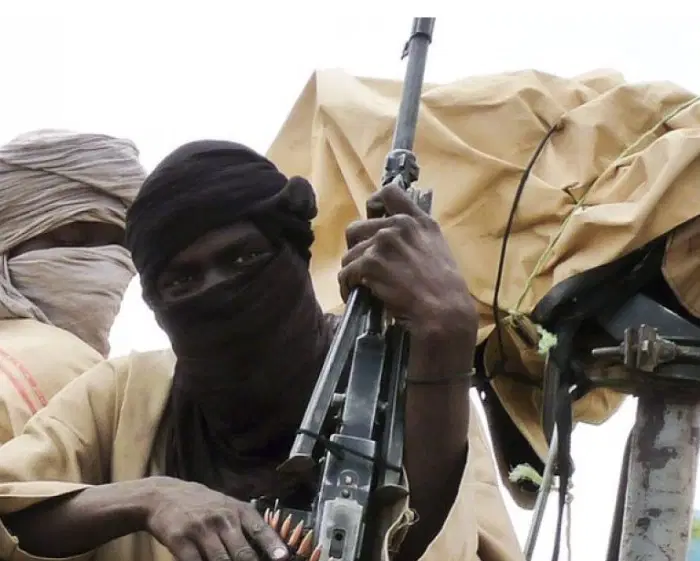Dozens feared dead as tribal fighters raid Adamawa villages