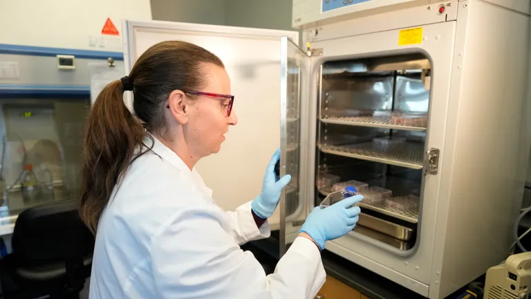 ‘America is losing scientists’: visa reform urged