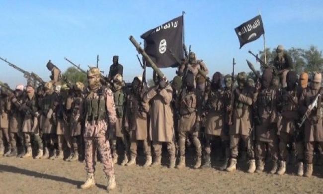 438 Boko Haram, ISWAP fighters killed in seven months, military says