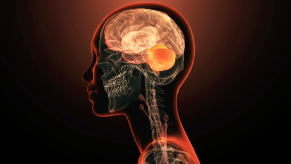 Scientists identify first single gene linked to mental illness