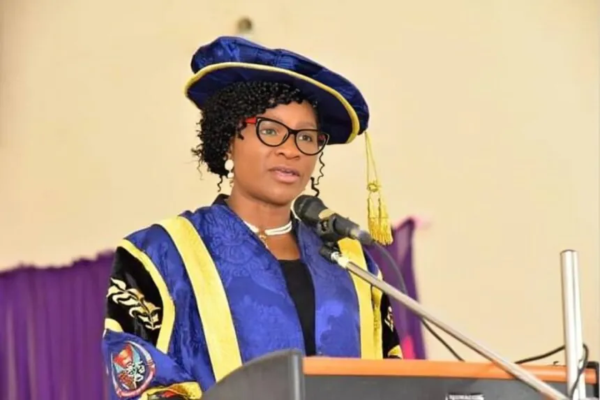 The reason for Nigeria’s varsity infrastructure decline – FUTA VC