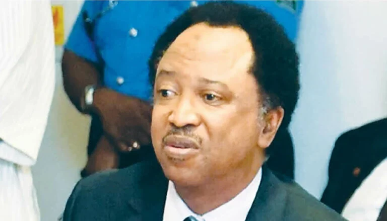 US visa restrictions: Shehu Sani urges Nigerians to rebuild Nigeria