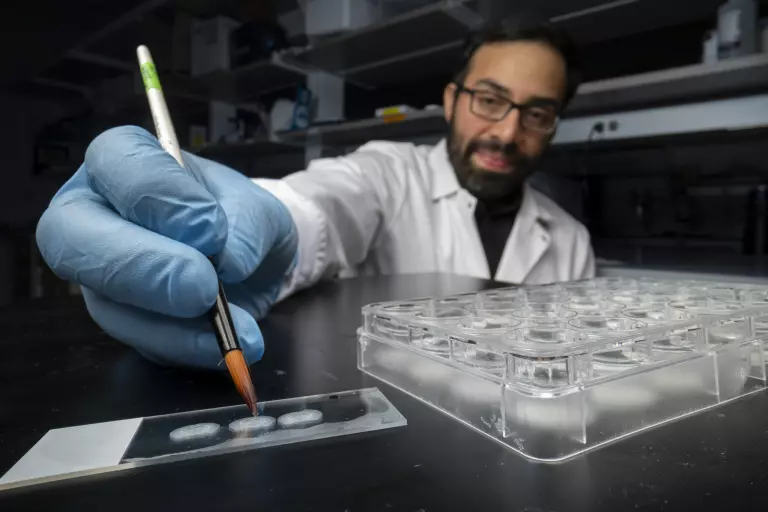 How rewriting memory in the lab could transform human healing