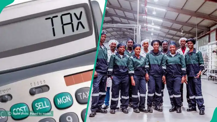 Seven categories of persons required to pay tax