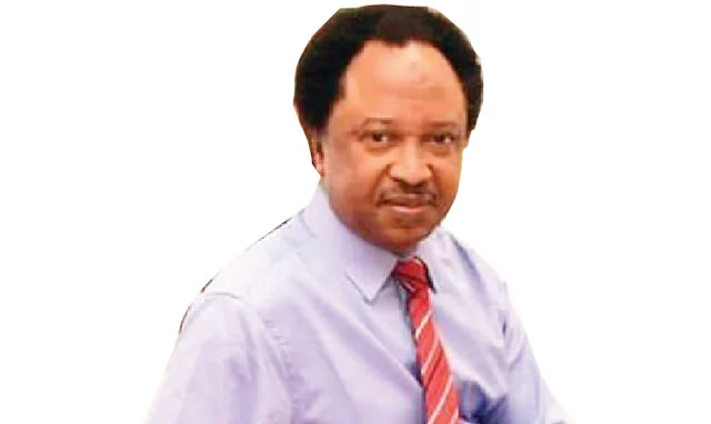 “Stop tweeting, start contesting,” Shehu Sani advises Nigerians aged 30–50