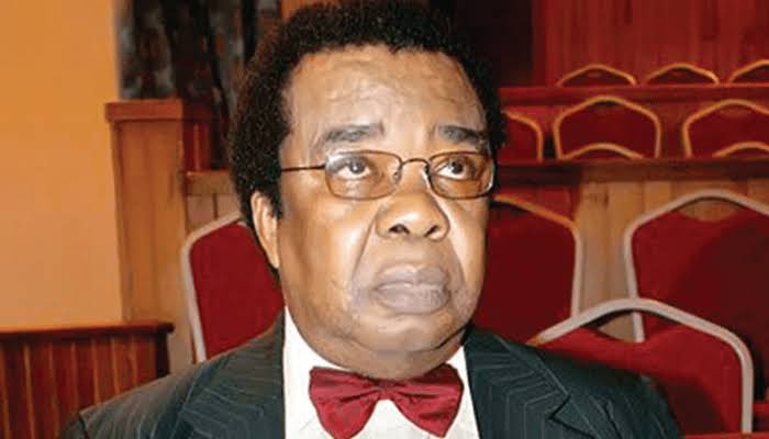 Prof. Akinyemi hails US airstrikes: ‘It could end internal colonialism’